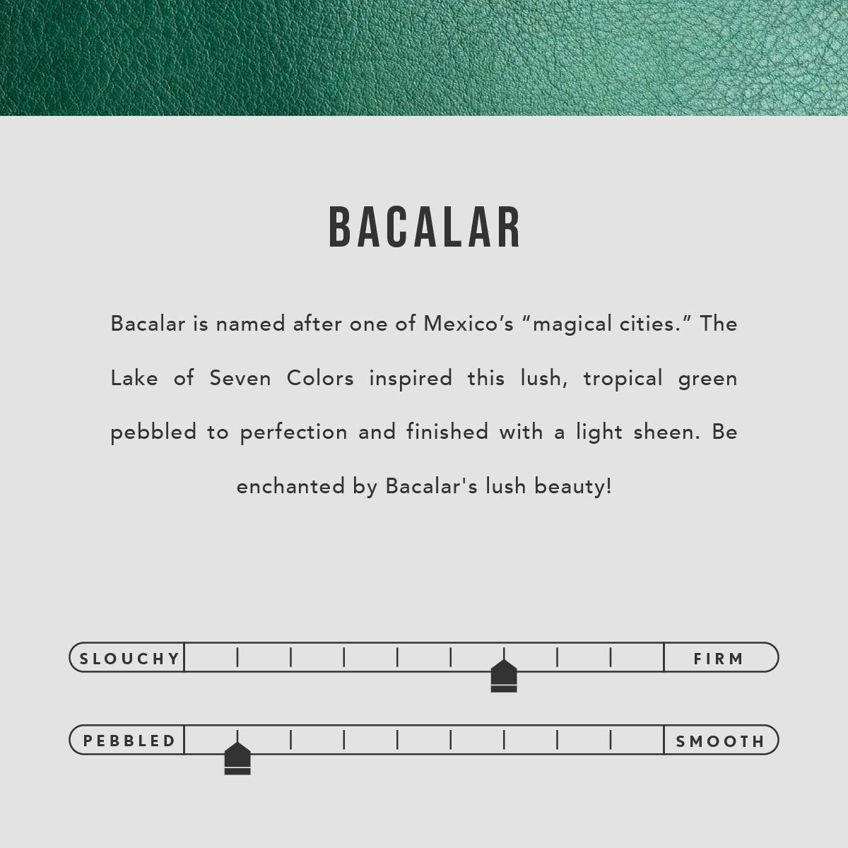 Leather Tote Bag